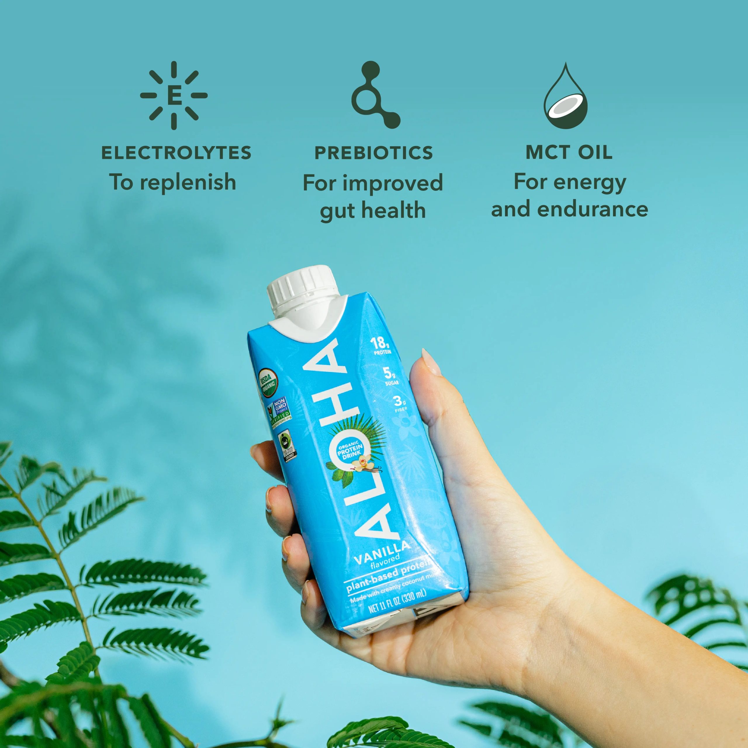 Vanilla - Protein Drinks - Image 4